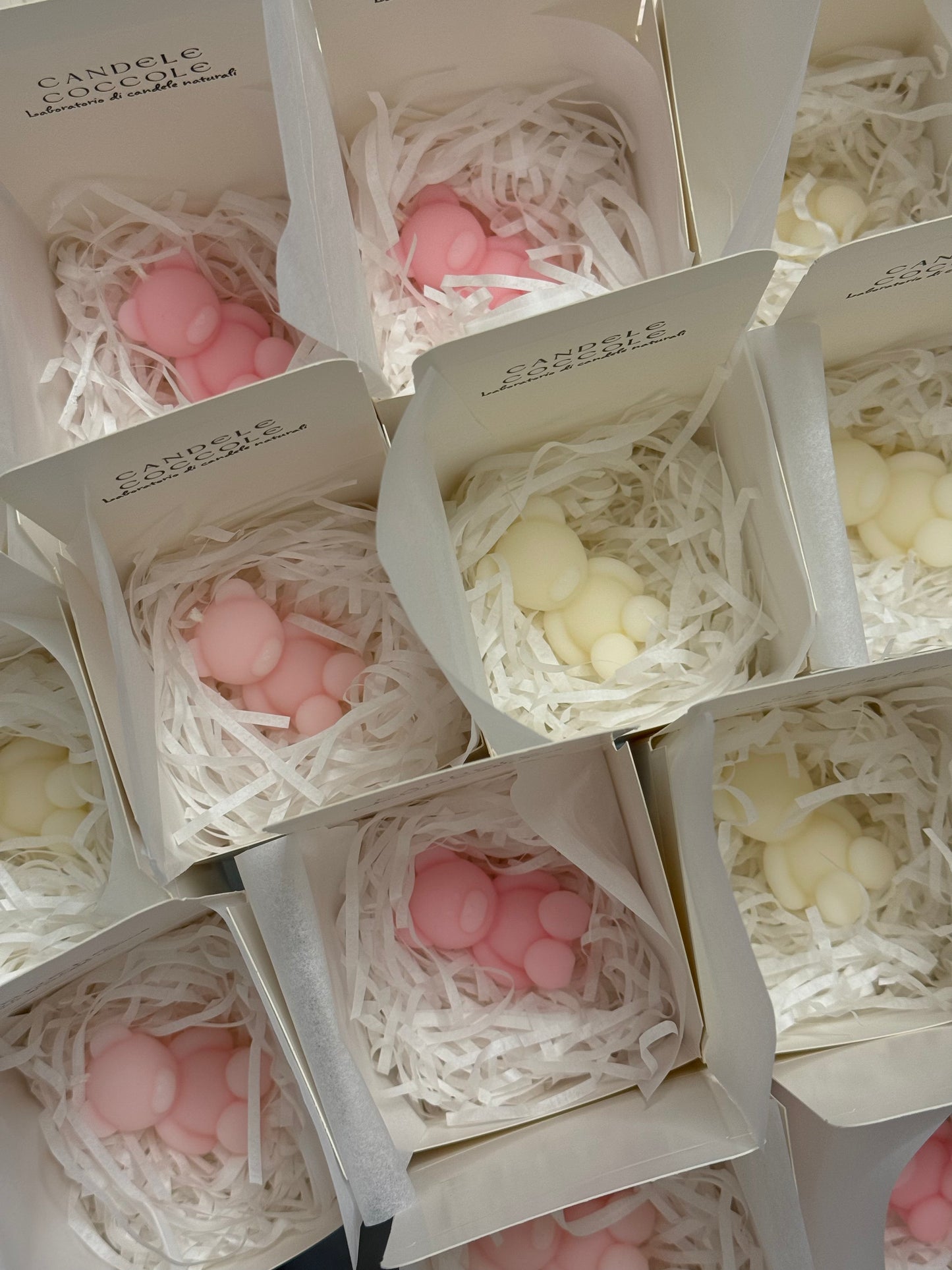 Candela orsetto Michelangelo