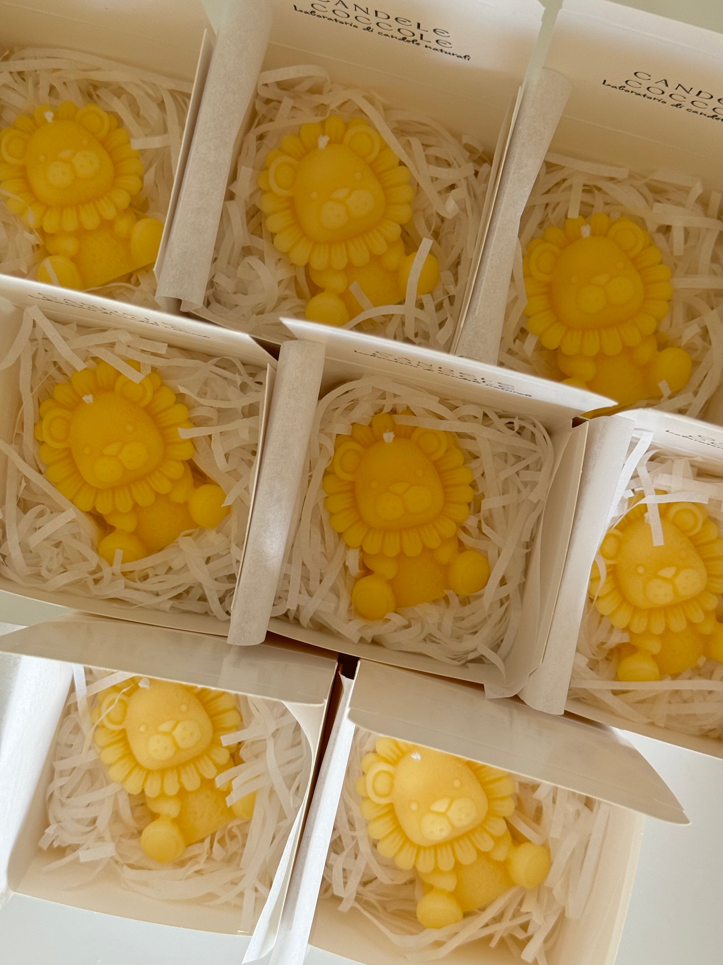 Candela leone Ruggiero