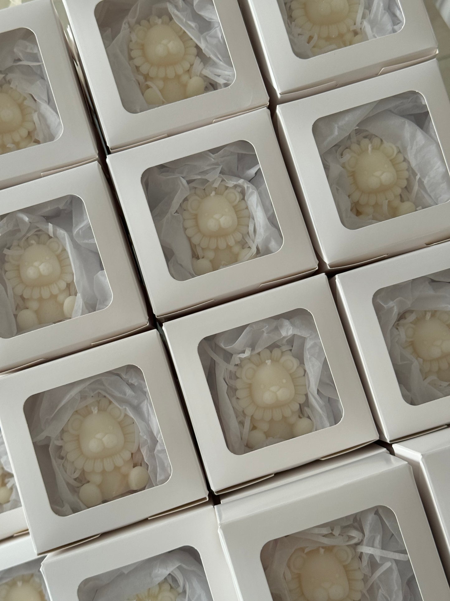 Candela leone Ruggiero