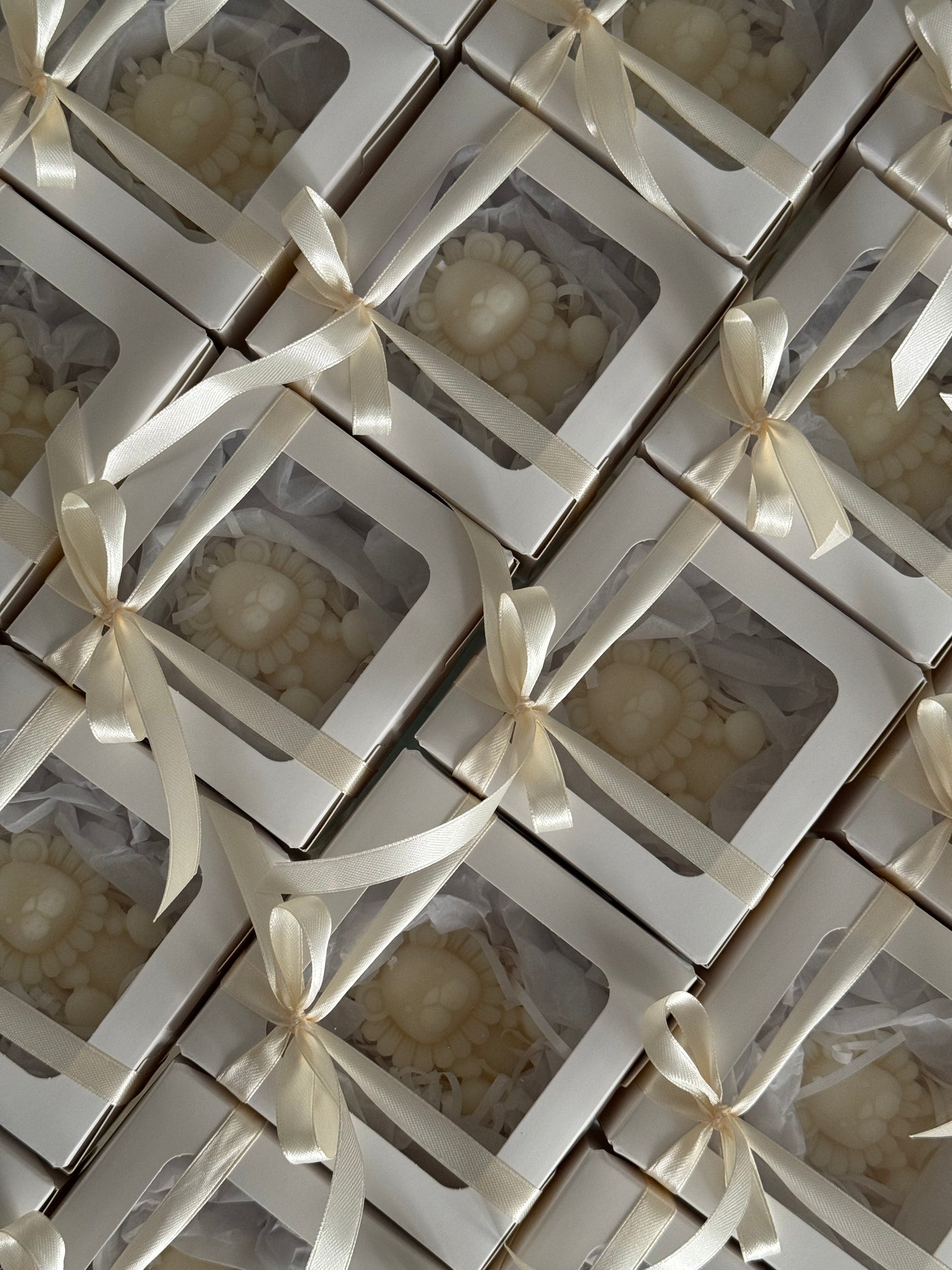 Candela leone Ruggiero